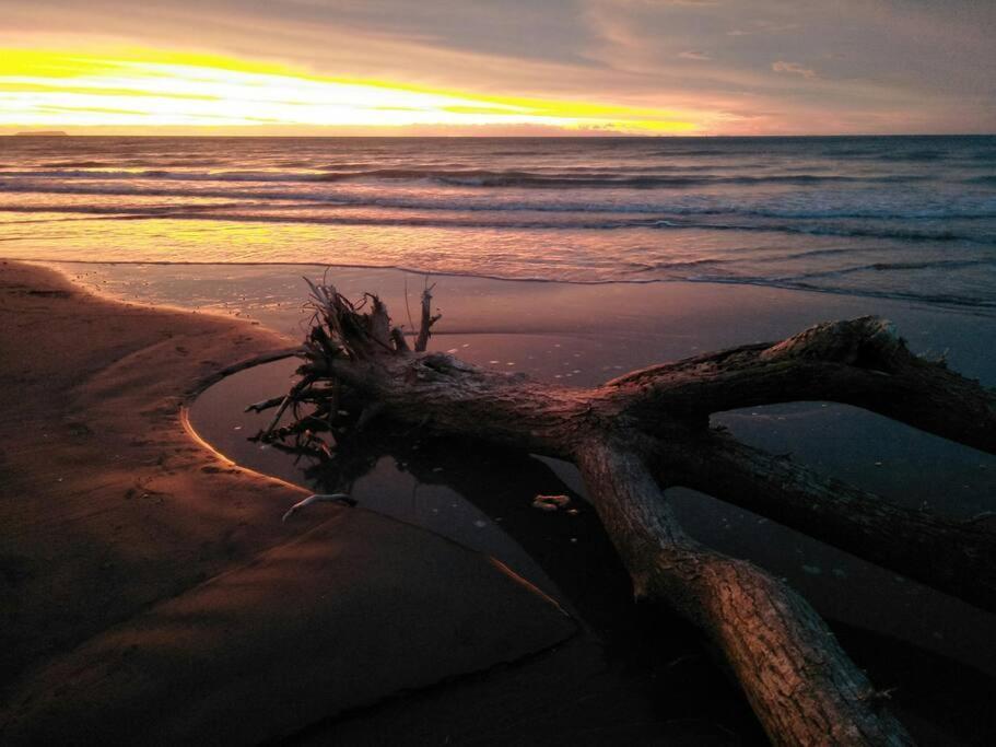 Beachfront Bliss Paraparaumu Extérieur photo
